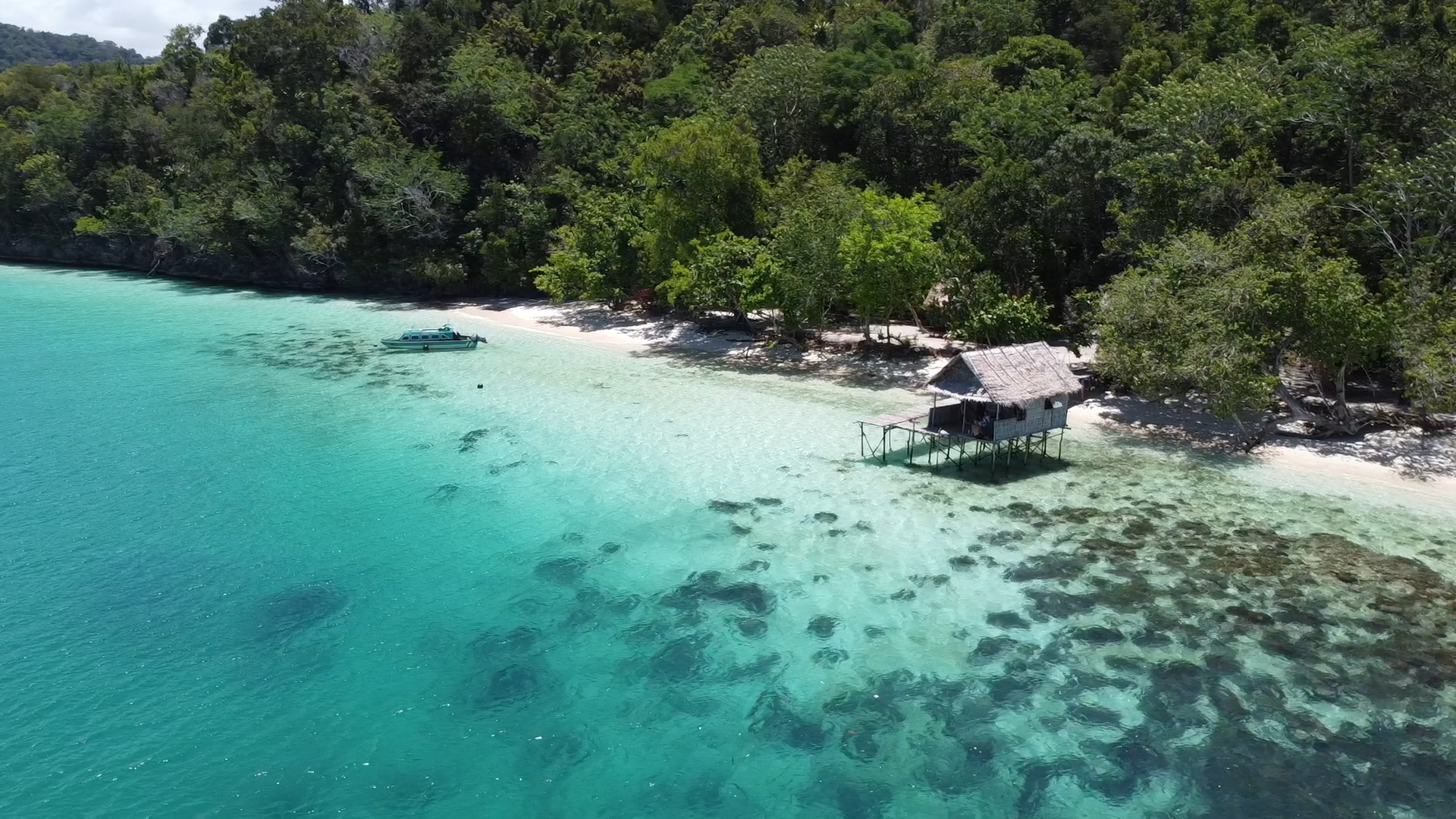 Processed hero asset representing the hybrid transition